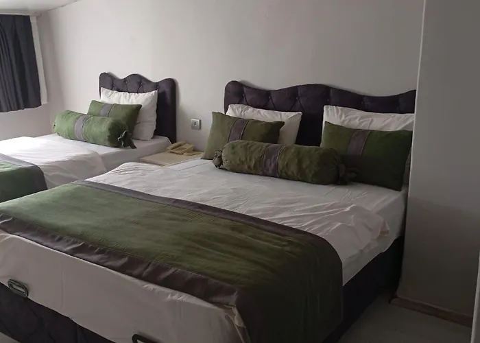 酒店 Erkus 伊斯坦布尔