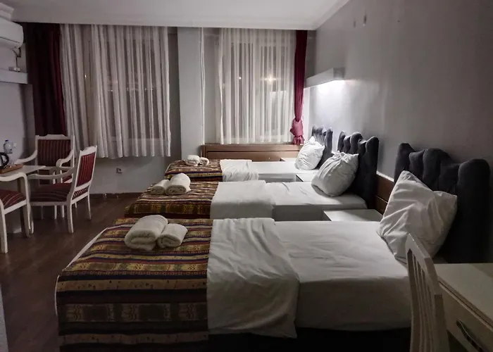 Hotel Erkus 3*