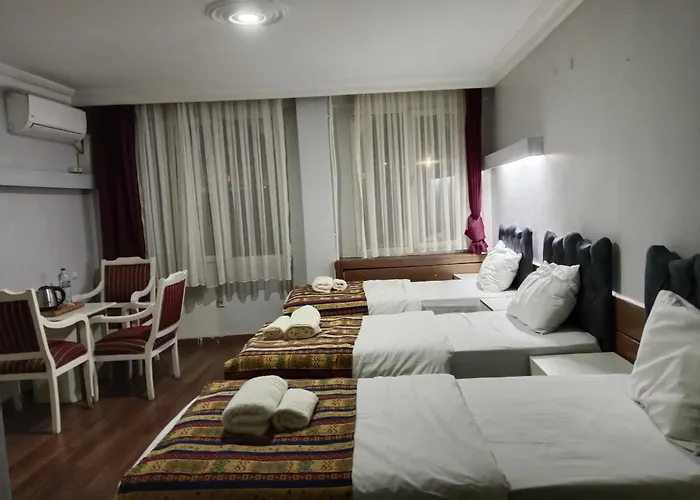 Hotel Erkus 3*